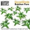 紙藝植物 - 毛葉蕨
