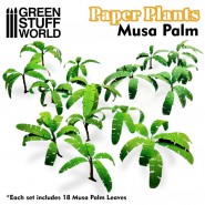 Paper Plants - Musa Trees | Paper Plants