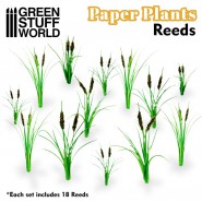 Paper Plants - Reeds | Paper Plants