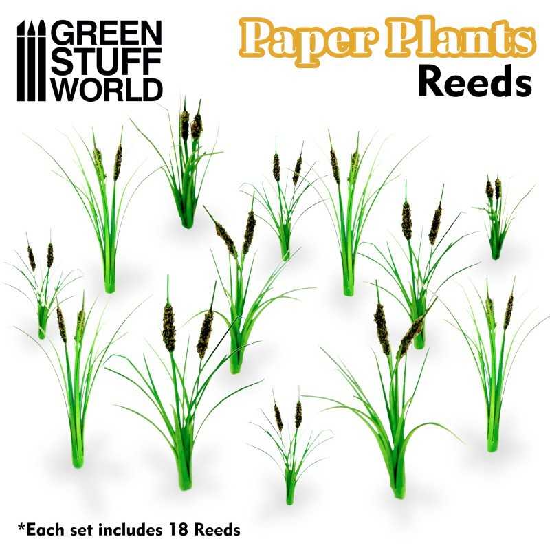 纸艺植物 - 灯心草 - 纸艺植物
