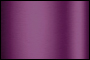 Orchid Purple